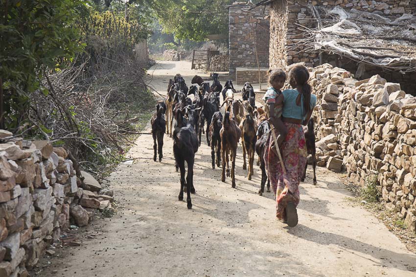 Bijaipur Village Rajasthan