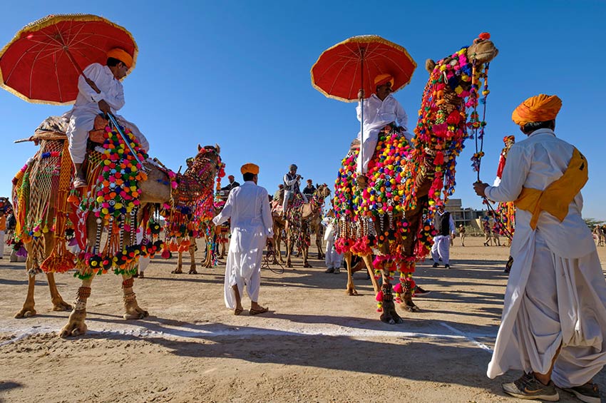 Desert Festival Jaisalmer