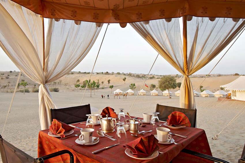 Desert Safari Experience Manvar Resorts & Camp