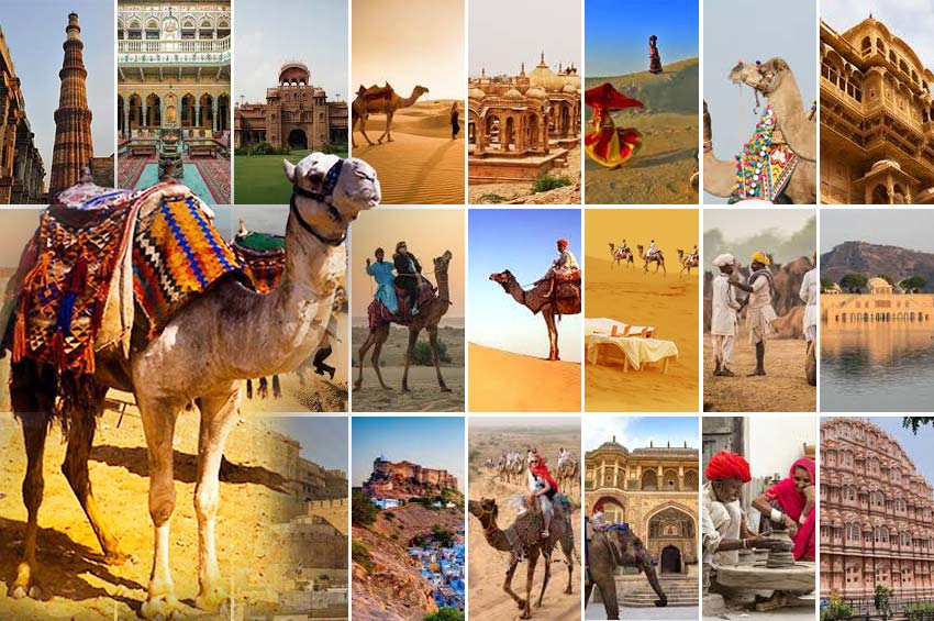 Camel Safari Tour of Rajasthan