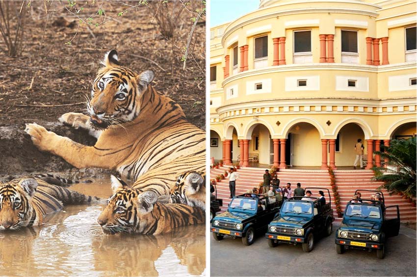 Sariska Tiger Reserve Tour