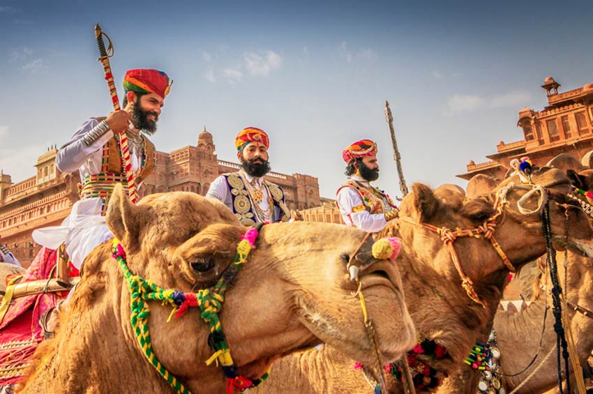 Explore Bikaner Camel Festival 2024 | Date & Time